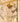 Default Title Calacatta Viola Marble Tiles calacatta viola honed marble tile