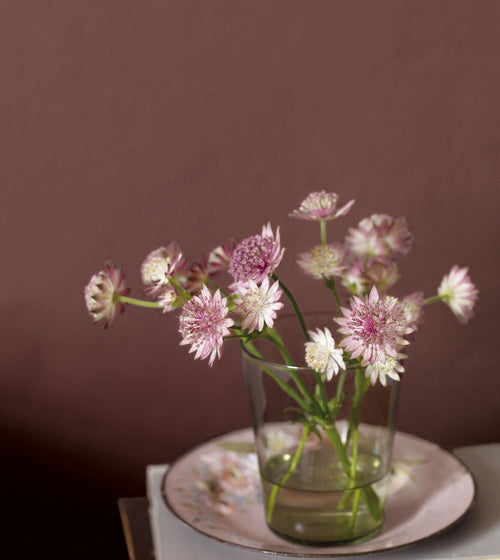 Beadlet Paint Shoreline Paint