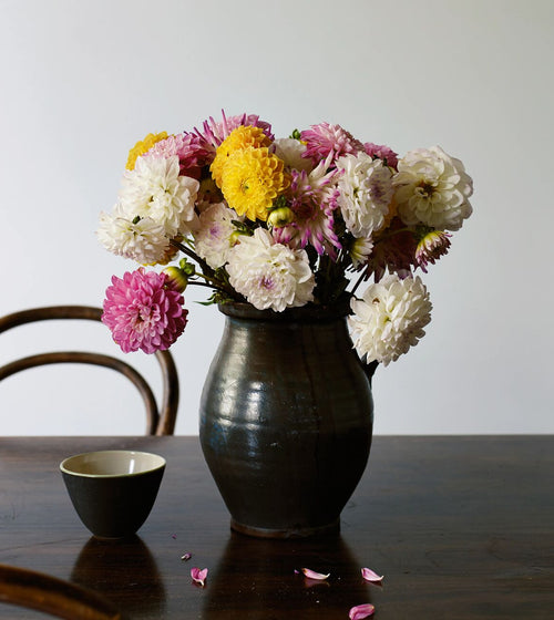 Bone White Paint White Paint Bone White Paint White Paint Bone White Paint White Paint Bone White Paint White Paint