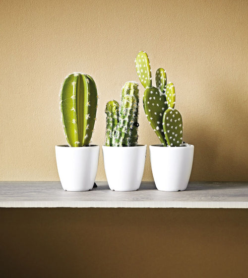 Burnt Verdigris Paint Statement Hue Paint