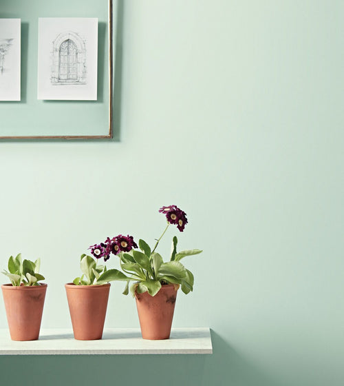 Celadon Paint Green Paint