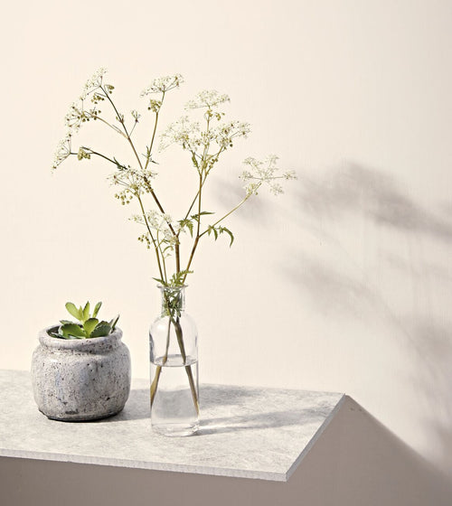 Chalk White Paint White Paint