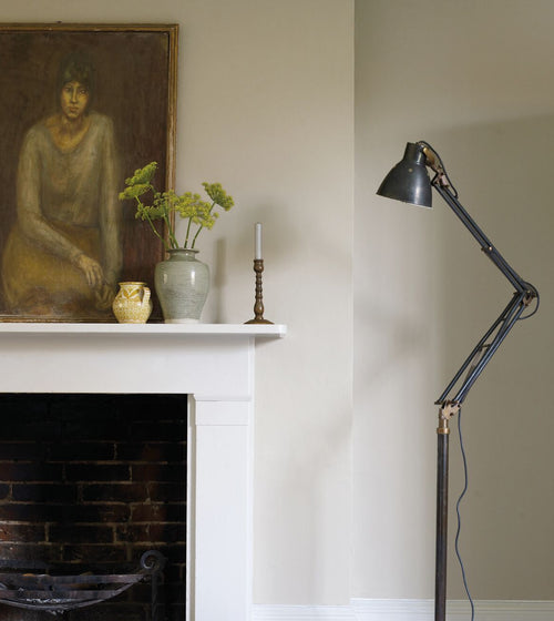 Cowrie Paint White Paint Cowrie Paint White Paint