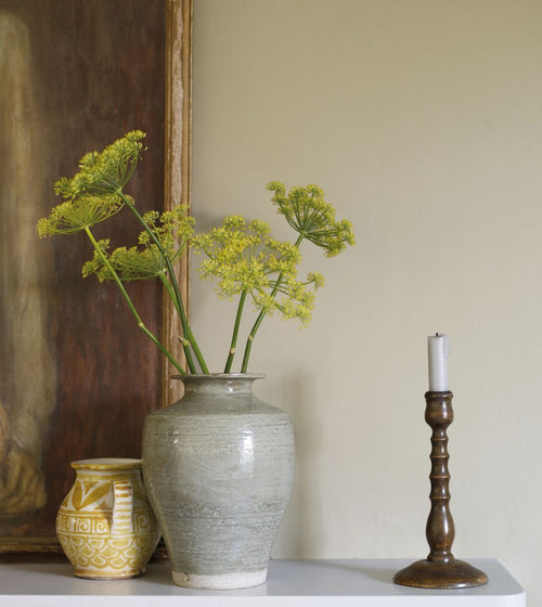 Cowrie Paint White Paint