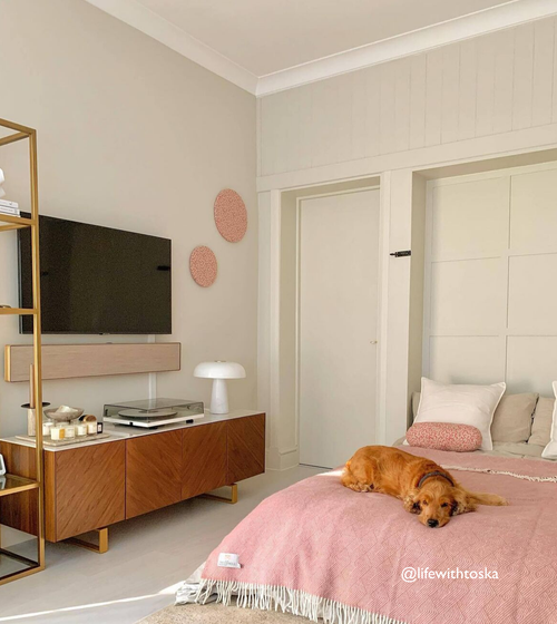 Canvas Paint Wall & Ceiling Paint