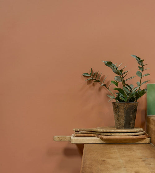 Pompeiian Red Earthy Tone Paint