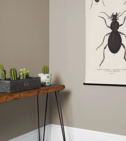 Dowager Paint Dark Paint