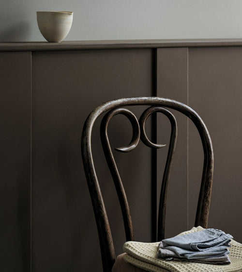 Earthstar Paint Shoreline Paint