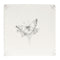 English Delft Butterfly 1 Charcoal Matt Tile