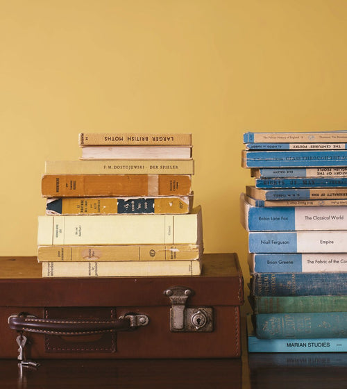 Goldfinch Paint Wall & Ceiling Paint Goldfinch Paint Wall & Ceiling Paint Goldfinch Paint Wall & Ceiling Paint