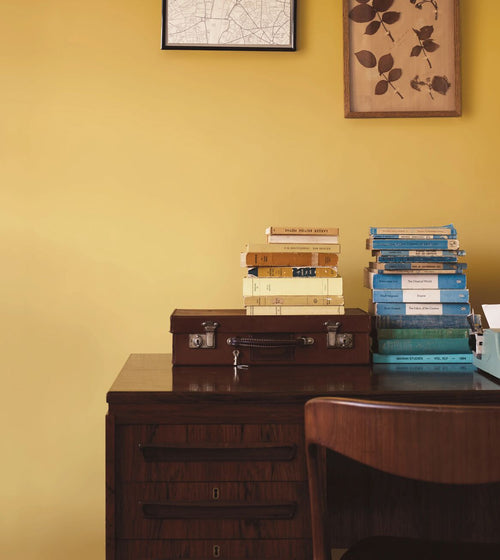 Goldfinch Paint Wall & Ceiling Paint Goldfinch Paint Wall & Ceiling Paint