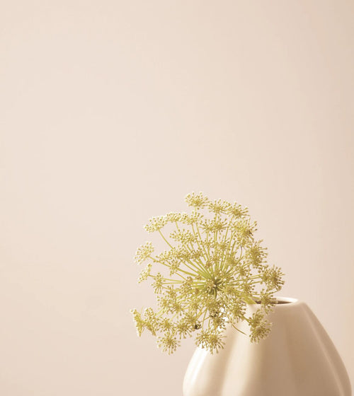 Manna Ash Paint Pink & Purple Paint