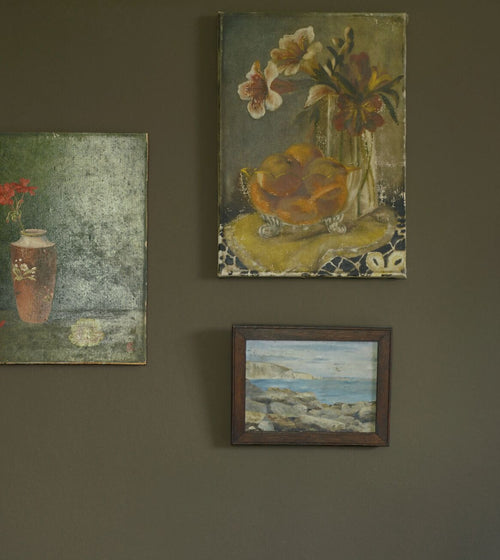 Mermaid's Purse Paint Shoreline Paint