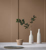 Eggshell / 2.5L Cream & Neutral Paint [