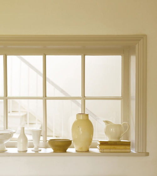 Sea Carrot Paint Shoreline Paint