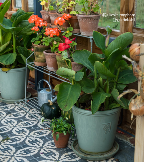 Urban Velasco Patterned Porcelain Tile Hallway Floor Tiles Urban Velasco Patterned Porcelain Tile Hallway Floor Tiles