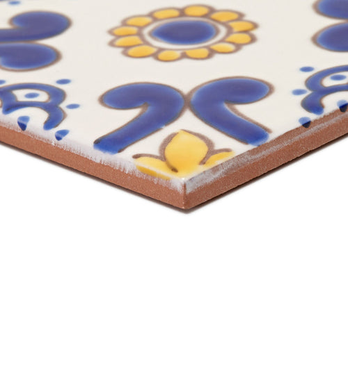 Acapulco Ortiz Handpainted Bathroom Tiles Acapulco Ortiz Handpainted Bathroom Tiles