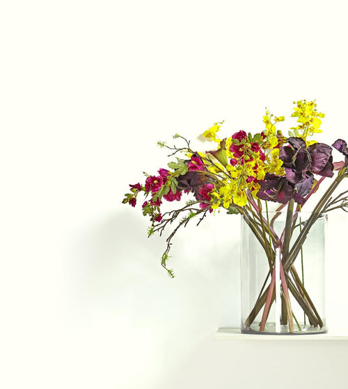 Araucana Shell Paint Wall & Ceiling Paint Araucana Shell Paint Wall & Ceiling Paint