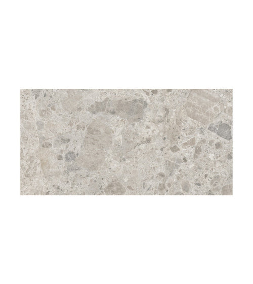 Ceppo Gris 60 x 120 Terrazzo Bathroom Tiles Ceppo Gris 60 x 120 Terrazzo Bathroom Tiles