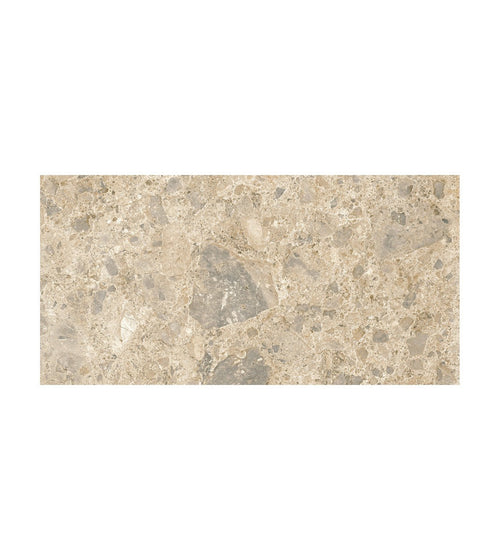 Ceppo Mix 60 x 120 Terrazzo Bathroom Tiles Ceppo Mix 60 x 120 Terrazzo Bathroom Tiles Ceppo Mix 60 x 120 Terrazzo Bathroom Tiles
