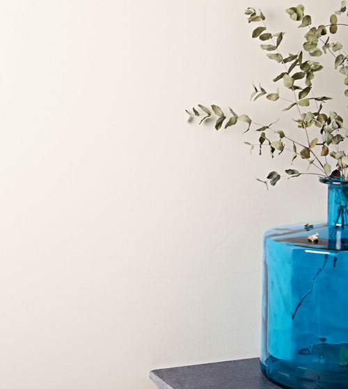 Oyster White Paint Oyster White Paint