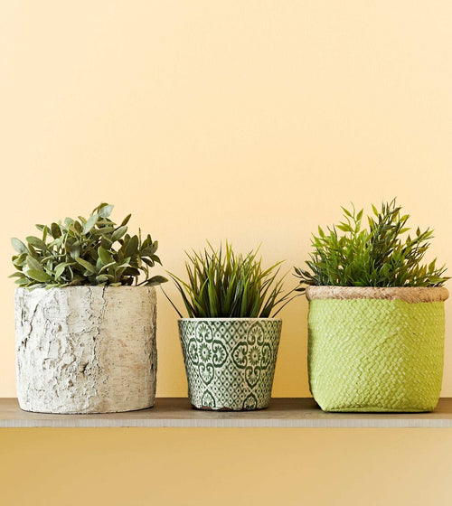 Pale Coumarin Yellow & Orange Paint